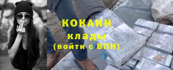 стаф Сафоново