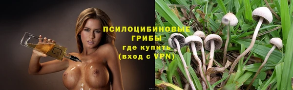 стаф Сафоново