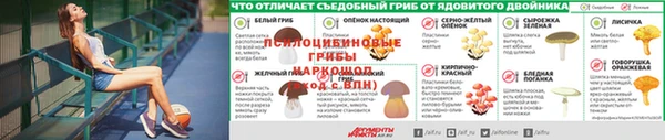 каннабис Богданович