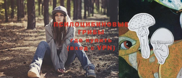 прущий лед Белоозёрский