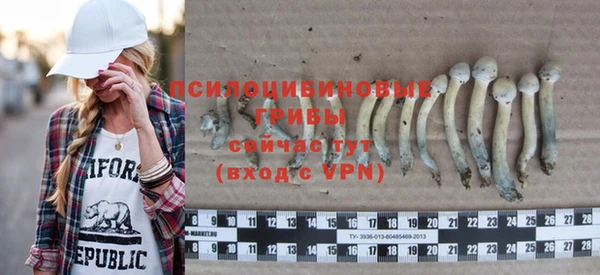 хмурый Богородск