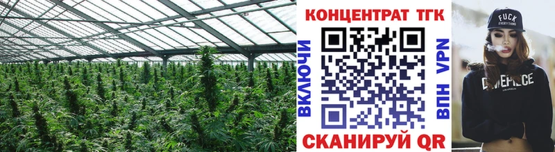 ТГК гашишное масло где найти наркотики Малмыж
